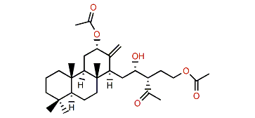 Flabelliferin A